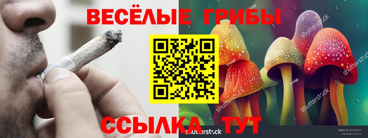 Псилоцибиновые грибы Psilocybe  Вход с VPN  Псилоцибиновые грибы прущие грибы  Кисловодск 